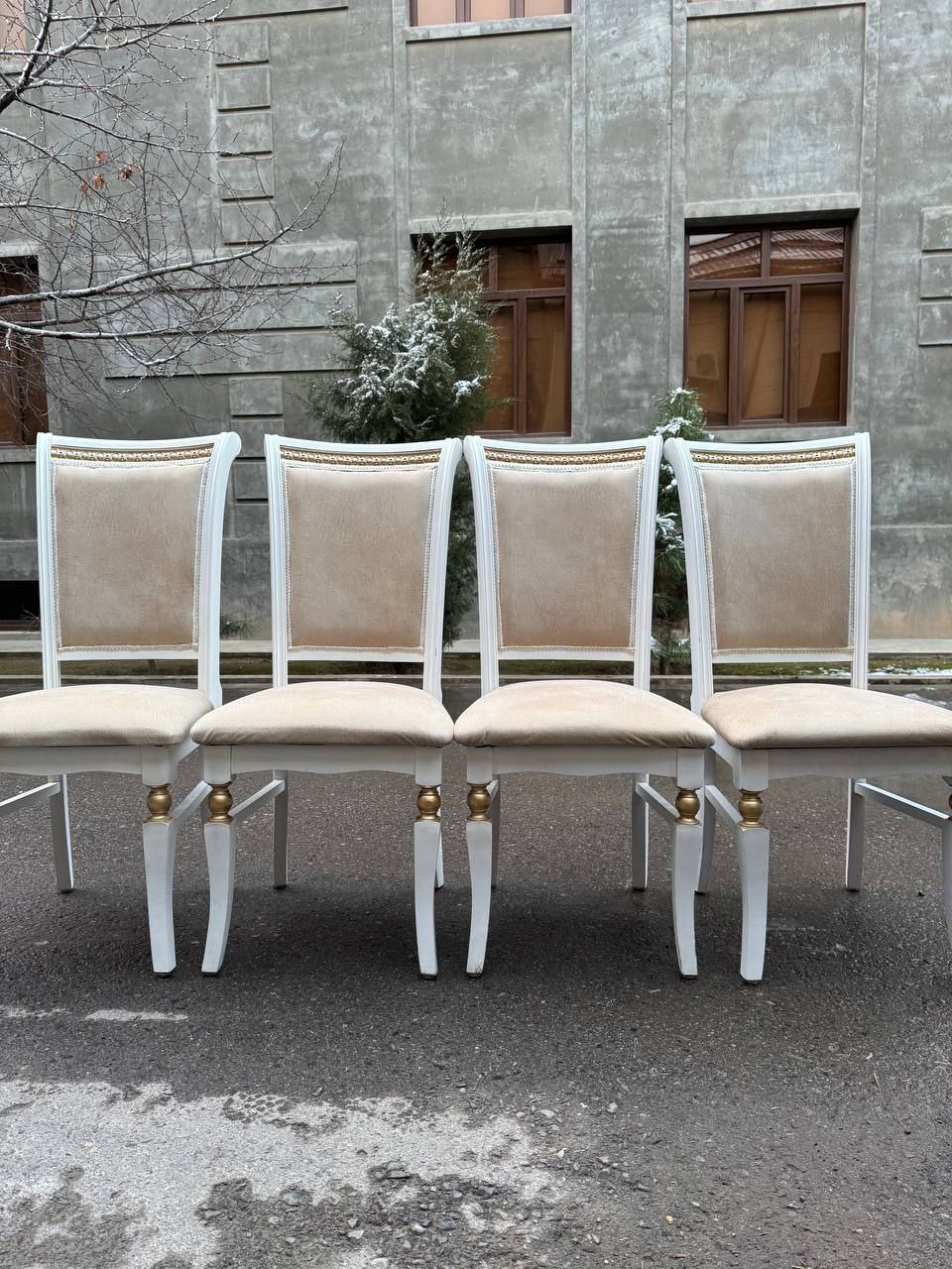 О компании ProkatZoon